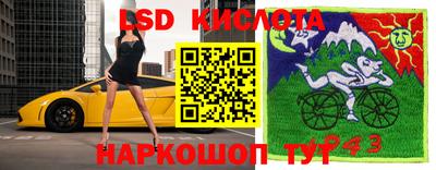 ГАЛЛЮЦИНОГЕННЫЕ ГРИБЫ Гагарин