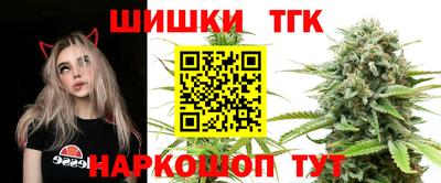СК Гай