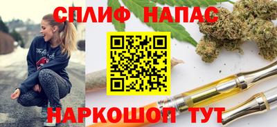 амф Гатчина