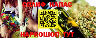 амф Гатчина