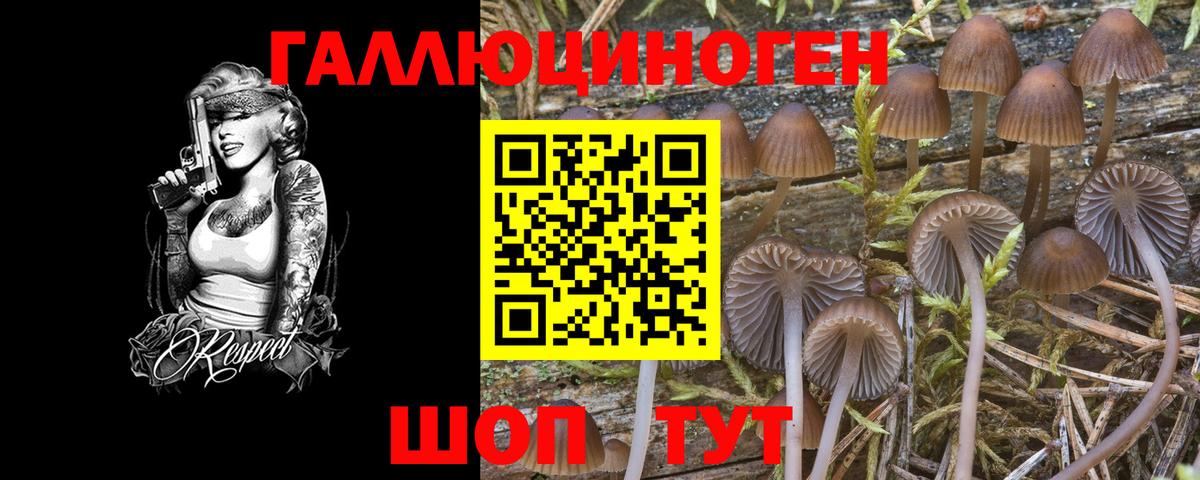Псилоцибиновые грибы прущие грибы Мичуринск
