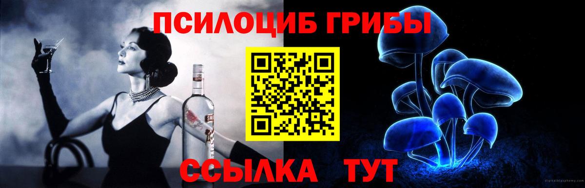 Мичуринск  Псилоцибиновые грибы GOLDEN TEACHER  Псилоцибиновые грибы MAGIC MUSHROOMS  Вход с VPN 